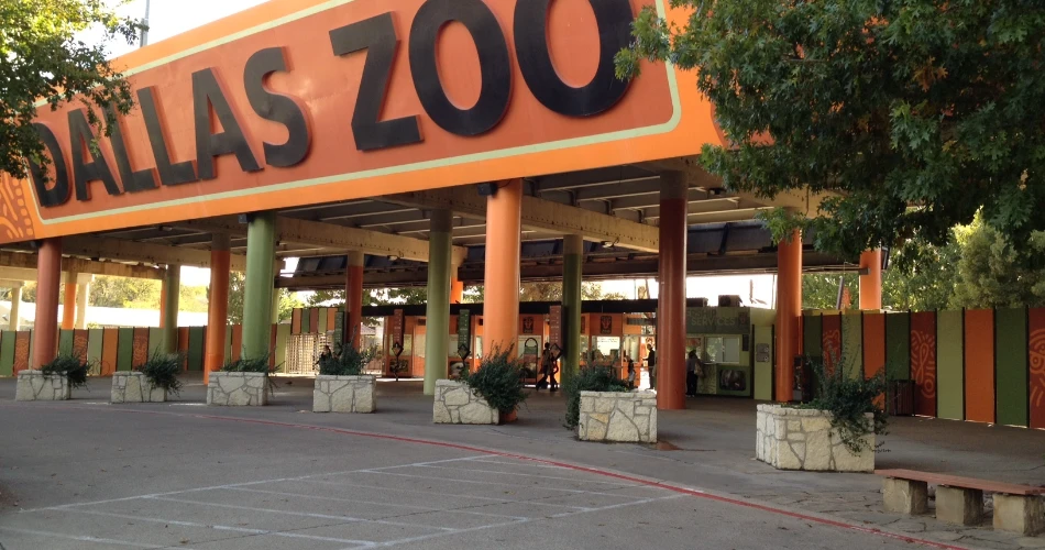 10 Best Dallas Kids Attractions