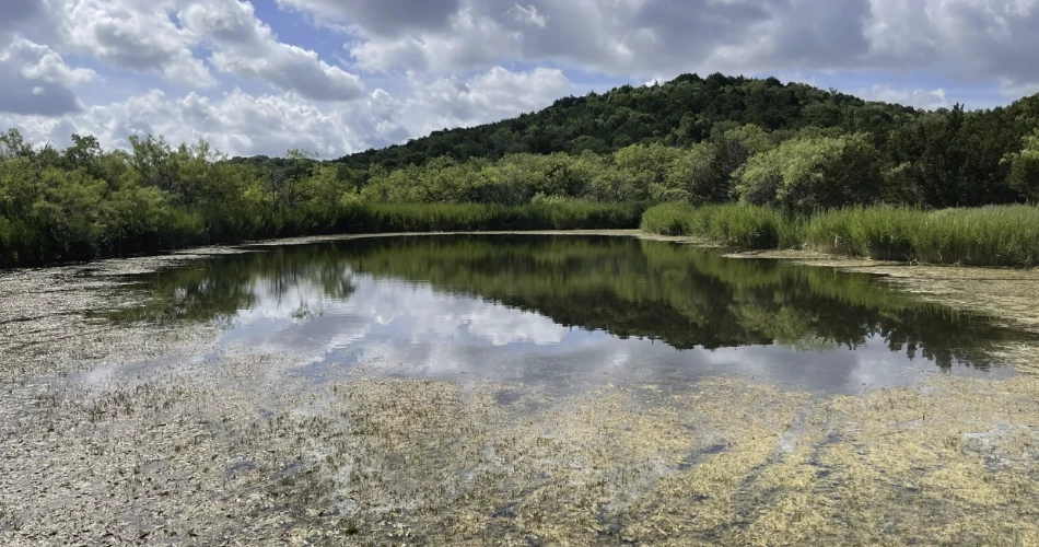 10 Best Hikes in Dallas and Trails in Dallas, TX