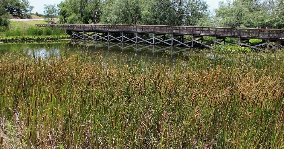 10 Best Hikes in Dallas and Trails in Dallas, TX