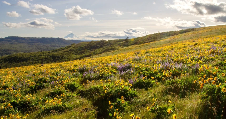 10 Best Hikes in Dallas and Trails in Dallas, TX